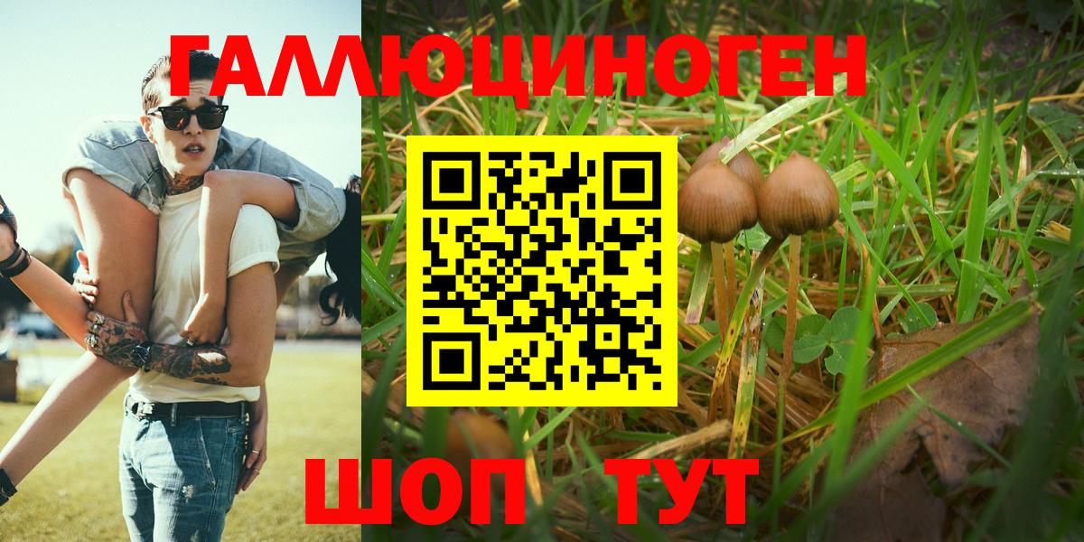 Чебоксары  Псилоцибиновые грибы прущие грибы  Вход с VPN 